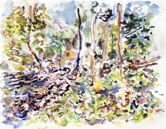 Millbrook: Trees Fallen Across Brook from Winter Storms  (May/June)
Watercolor on Paper
21" x 26"
