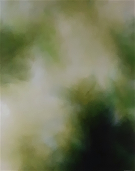 Moss
Acrylic on Canvas
30" x 24"