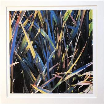 Blue Flax Grass
Matted Prints
7" x 7"