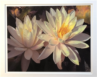 Lotus Flowers
Matted Prints
7.5" x 9"