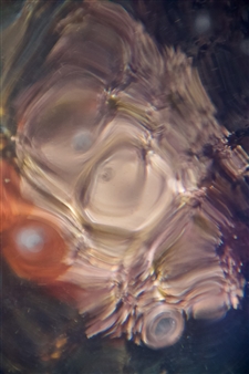 Second Nature
Photograph on Plexiglass
26.5" x 40"