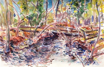 Millbrook: Trees Fallen Across Brook from Winter Storms  (March/April)
Watercolor on Paper
20" x 27"