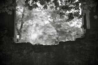 06_Out of the Stone Wall
Archival Pigment Print
12" x 18"