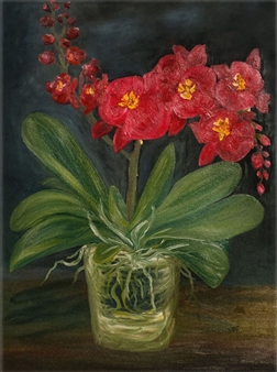 Orchid
Oil on Canvas
24" x 18"