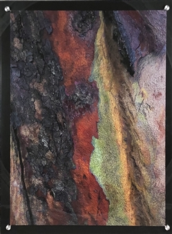 Red and Green Tree Bark
Photograph on Fine Art Paper
24" x 18"