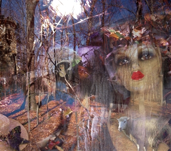 Forest Full of Dreams
Digital Découpage
14.5" x 19"