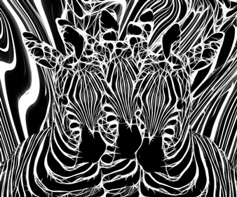 Zebras
Digital Sublimation Print on Aluminum
30" x 36"