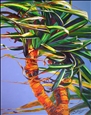 Sylvia Ditchburn - Tropical Pandanus No. 2